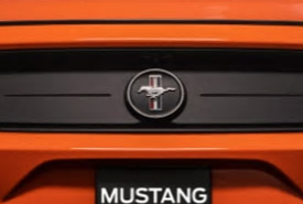 FN Mustang